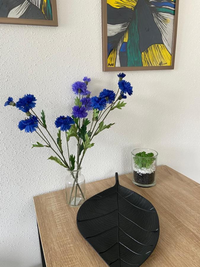 Chez Orely Apartment Horbourg Екстериор снимка